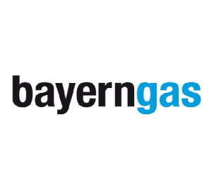 bayerngas-testimonial